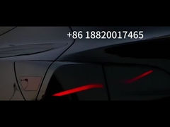 lâmpada traseira modelo 3 da Tesla